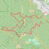 Fontainebleau Rocher Cuvier GPS track, route, trail